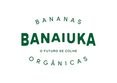 Banaiuka – Início